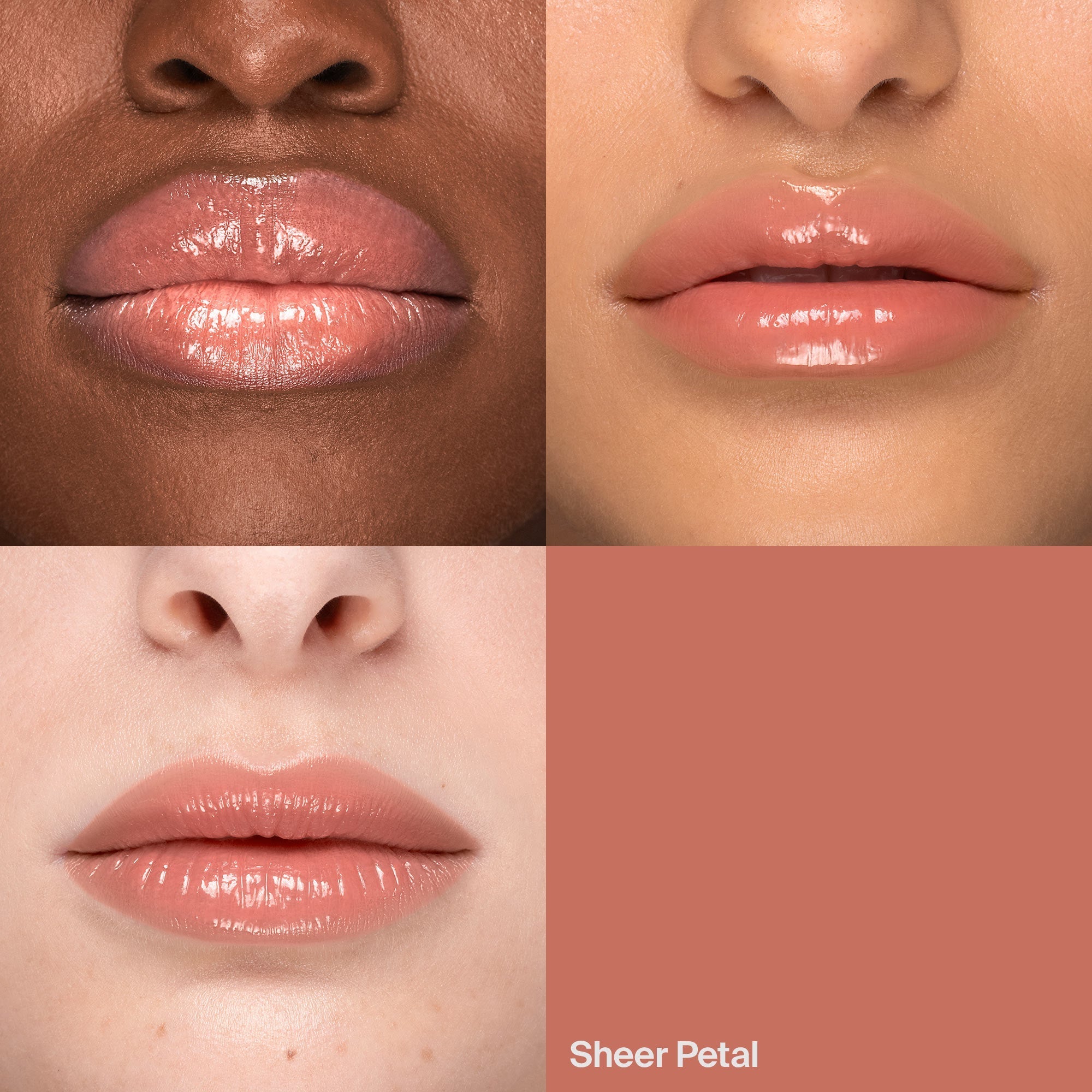 HL_DTC_SEPHORA_LIP_LACQUER_2000x2000_Model_Quad_Sheer_Petal_14d97a1f-4ed1-4b86-8454-b7fd0d321169.jpg