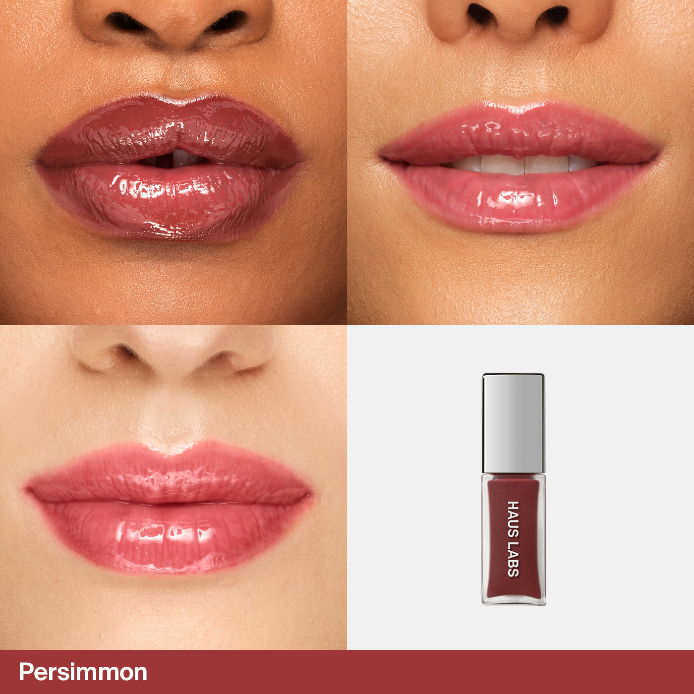 HL_DTC_SITE_UPDATES_PDP_LIPGLAZE_MODEL_QUAD_Persimmon.jpg
